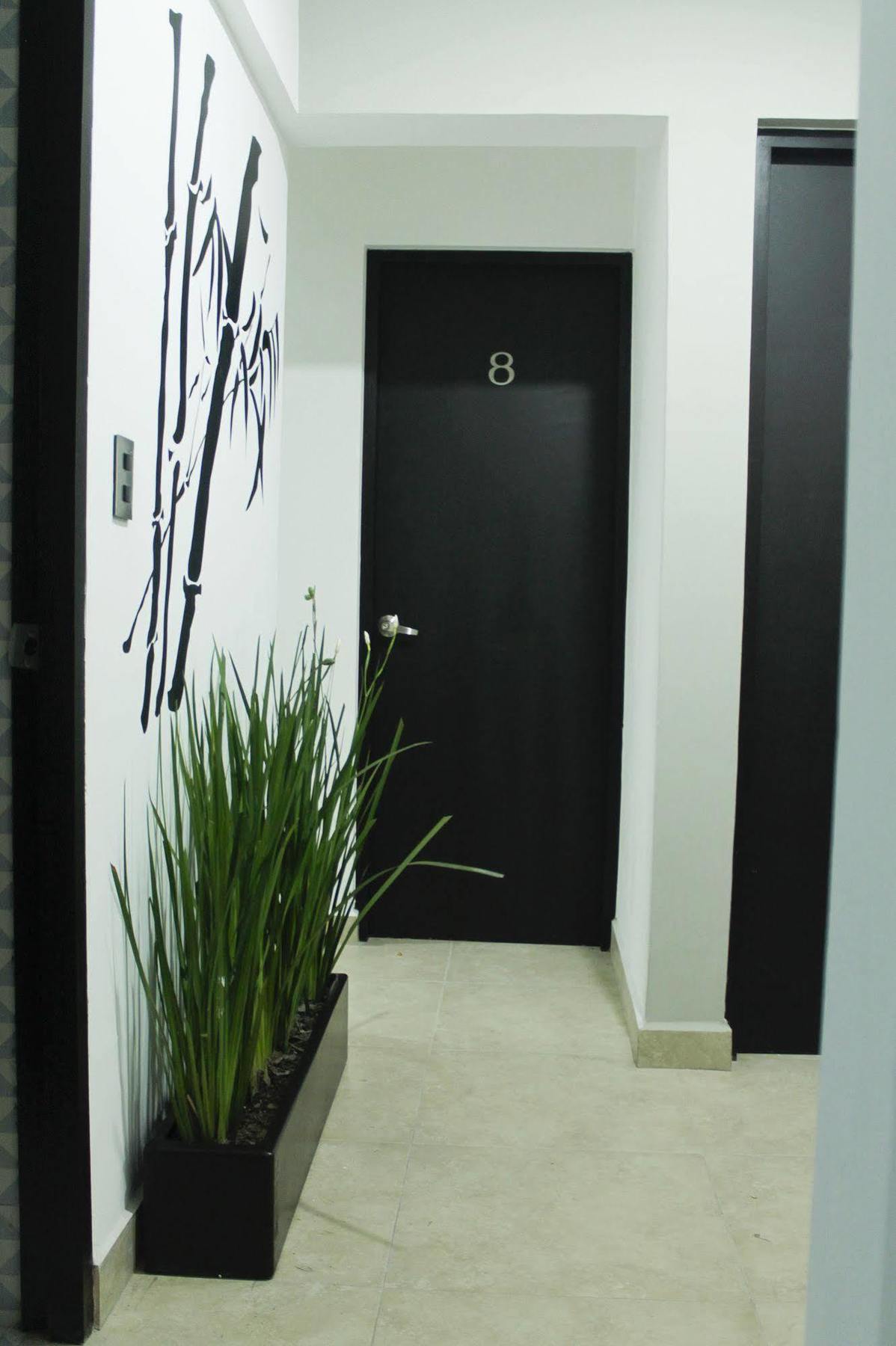 Hostal Be Condesa México DF Exterior foto
