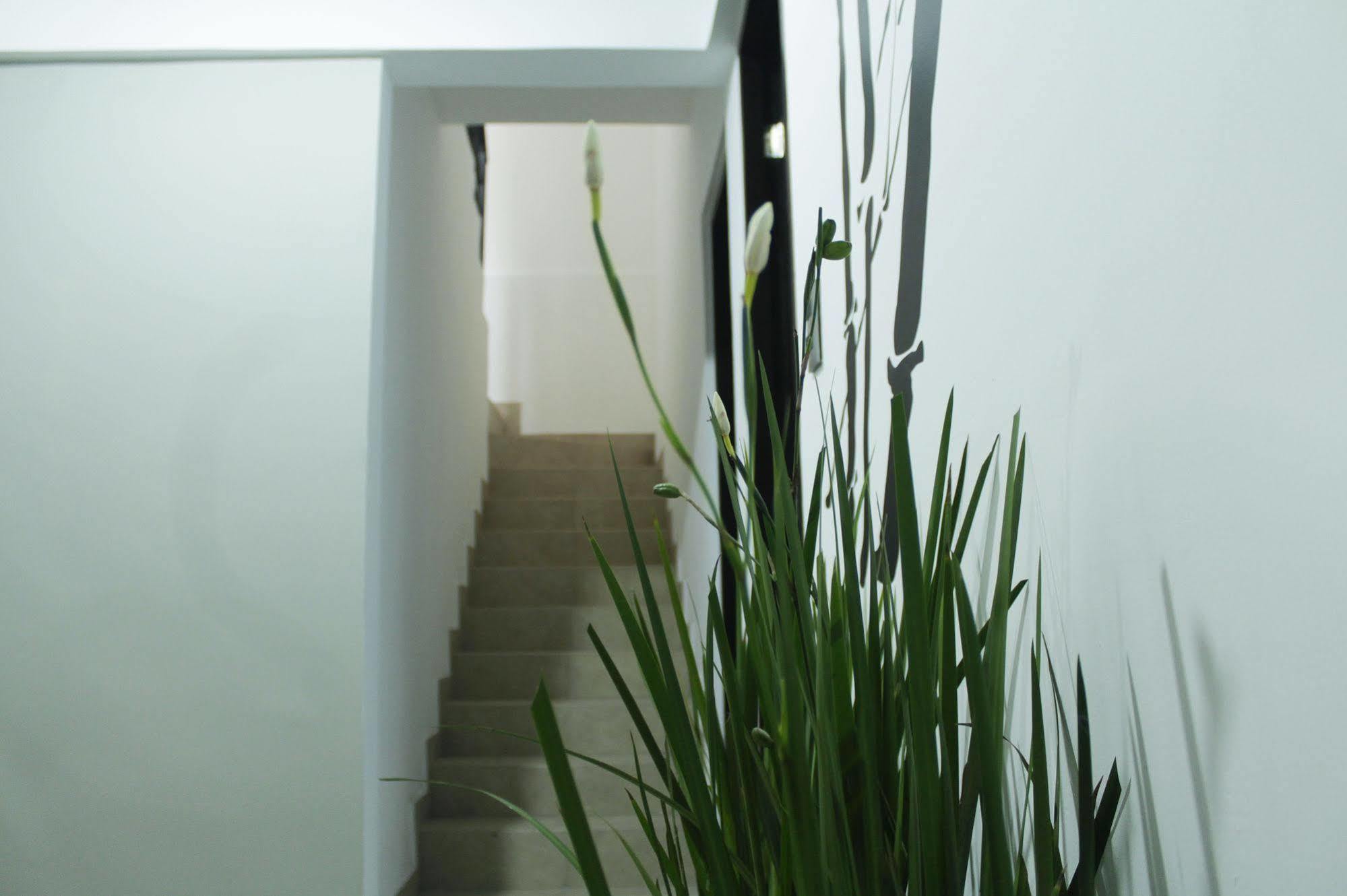 Hostal Be Condesa México DF Exterior foto